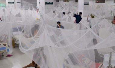ঢাকার হাসপাতালে এক দিনে ৮৫ ডেঙ্গু রোগী
