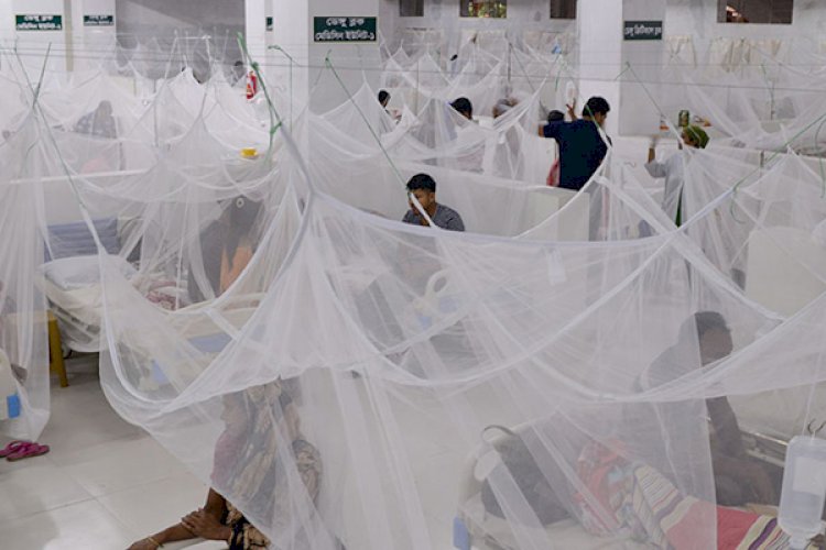 ডেঙ্গুতে আক্রান্ত হয়ে হাসপাতালে ভর্তি আরও ৩১৭ জন