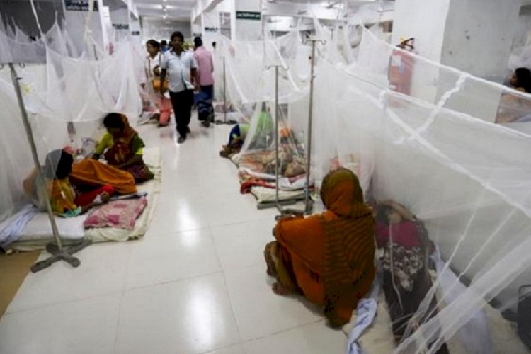 এক দিনে রেকর্ড ১২৩ ডেঙ্গু রোগী শনাক্ত>
</div>
</div>
<div class=