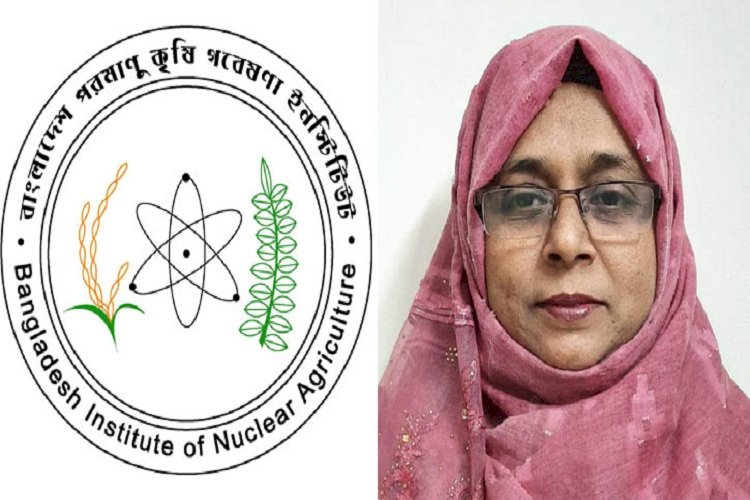 আন্তর্জাতিক পুরস্কার পেল বিনা ও বিজ্ঞানী শামসুন নাহার>
</div>
</div>
<div class=