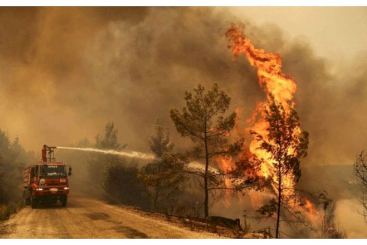 জুলাই ছিল পৃথিবীর ইতিহাসে সবচেয়ে উষ্ণতম মাস