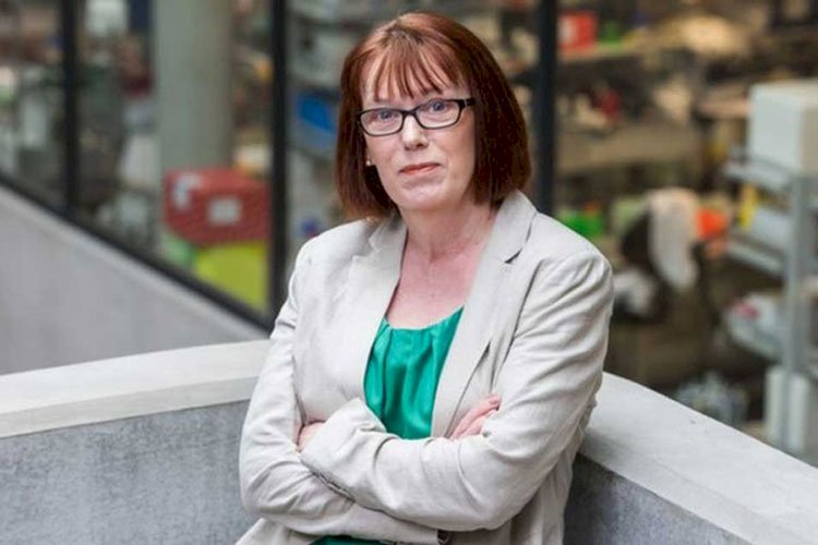 করোনাভাইরাস একসময় সাধারণ ঠাণ্ডা-জ্বরে পরিণত হবে : সারাহ গিলবার্ট>
</div>
</div>
<div class=