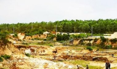 থামছেনা কক্সবাজার উত্তর বনবিভাগে মাটিলুট সহ বনজ সম্পদ উজাড়ের প্রতিযোগিতা