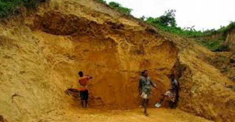 উখিয়া রেঞ্জের ৮ বিটে চলছে বনজ সম্পদ উজারের মহোৎসব