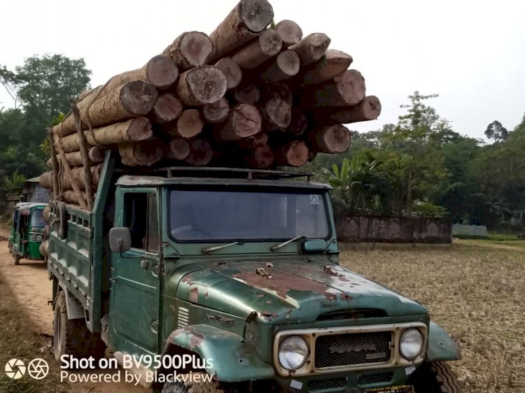 বারবাকিয়ায় বিশেষ অভিযানে চৌদ্দশ ঘনফুট কাঠ ১৪টি যানবাহন আটকসহ ৪৪ বিভাগীয় মামলা দায়ের