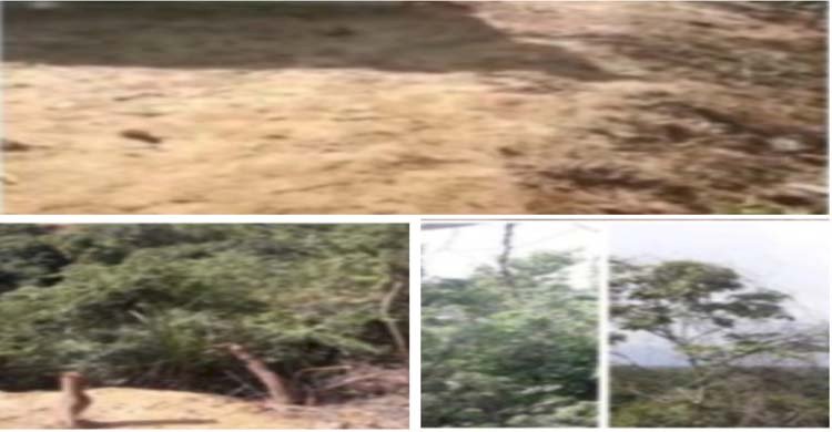 কক্সবাজার উত্তর বনবিভাগের পিএমখালী রেঞ্জে চলছে সংরক্ষিত পাহাড় বিক্রির ধুম