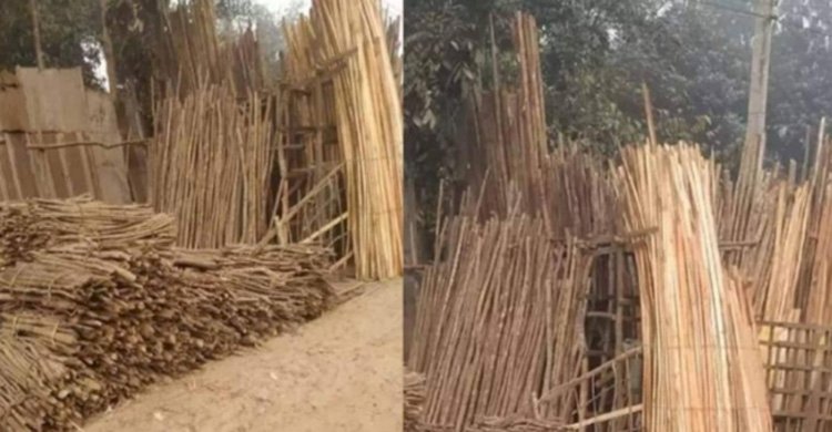 কক্সবাজার সংরক্ষিত বনাঞ্চল থেকে পাচার করে প্রকাশ্যে বিক্রি হচ্ছে গাছ