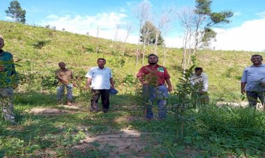 বারবাকিয়া বিটে বাগান পরিদর্শননে সহকারী বন সংরক্ষক, পদুয়া