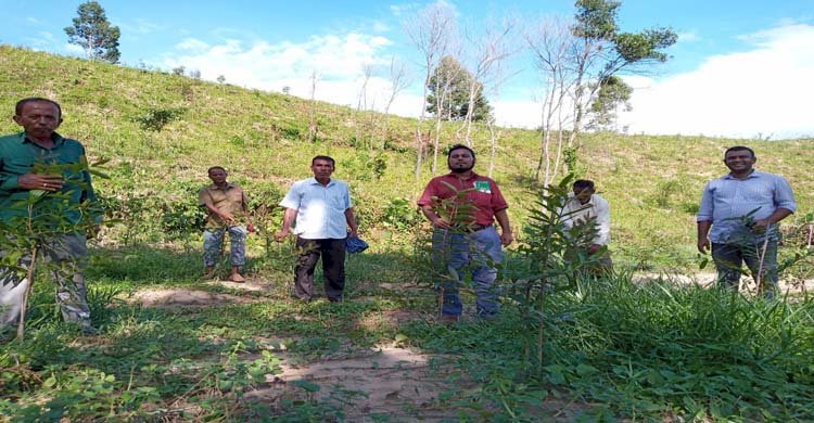 বারবাকিয়া বিটে বাগান পরিদর্শননে সহকারী বন সংরক্ষক, পদুয়া