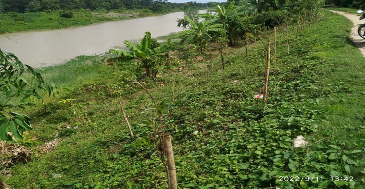 "শেখ হাসিনার নির্দেশ, জলবায়ু সহিষ্ণু বাংলাদেশ"