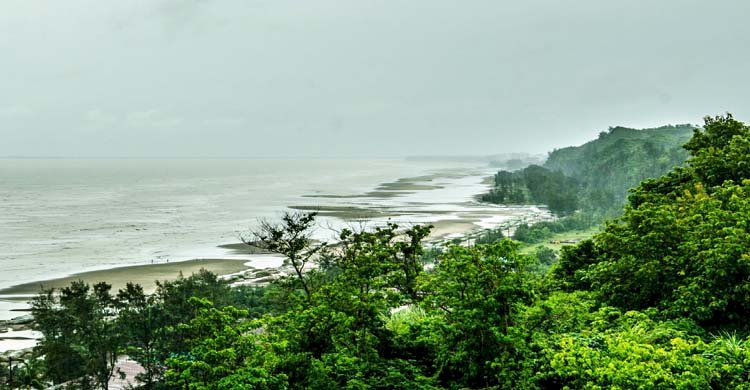৩ বছর অতিবাহিত হলেও কক্সবাজারে সবুজ বেষ্টনীর কাজে নেই কোন অগ্রগতি>
</div>
</div>
<div class=