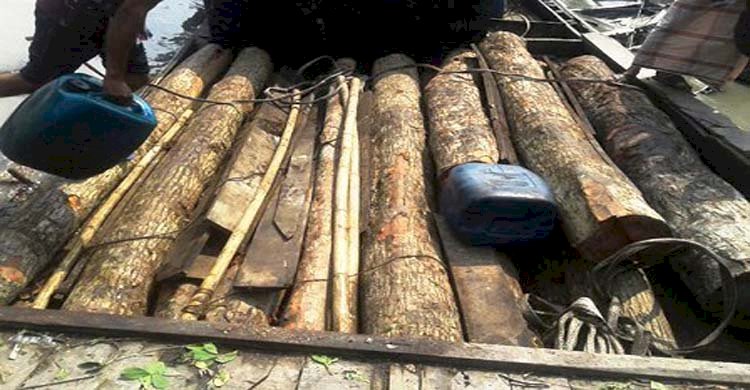 পার্বত্য চট্টগ্রাম উত্তর বন বিভাগের কাচালংমুখ বন ও শুল্ক পরীক্ষণ ফাঁড়িতে চলছে হরিলুট