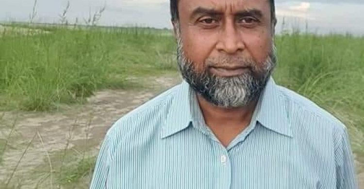 পার্বত্য চট্টগ্রাম দক্ষিণ বন বিভাগে চলছে হরিলুট।। দেখার কেউ নেই