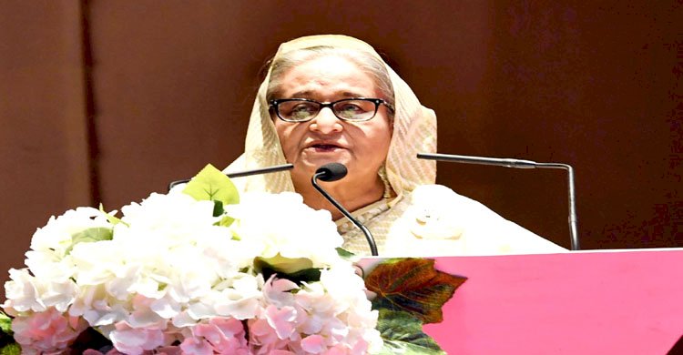 অপপ্রচারে কান দেবেন না, দেশের অর্থনীতি স্থিতিশীল: প্রধানমন্ত্রী