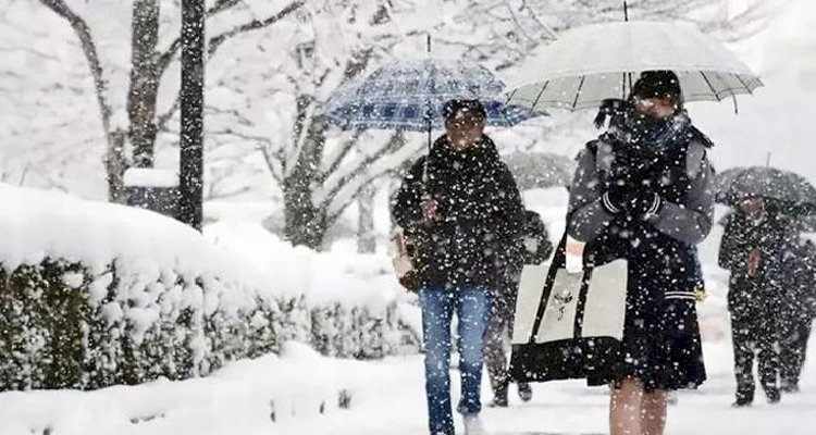 যুক্তরাষ্ট্রে তুষারঝড়ে ১৬ জনের মৃত্যু, হাজারো ফ্লাইট বাতিল