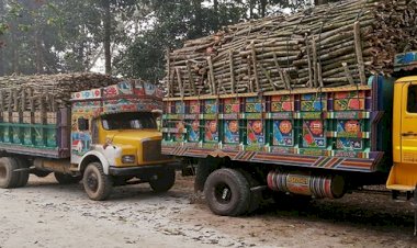 টিপি বিহীন চোরাই কাঠ ভর্তি গাড়ী থেকে সিএফ, ডিএফও’র নামে চলছে বেপরোয়া ঘুষ বানিজ্য
