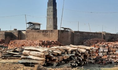 কক্সবাজার দক্ষিণ বনবিভাগের রামুতে ইট ভাটায় পোড়ানো হচ্ছে সংরক্ষিত বনের গাছ ॥ হুমকির মুখে পরিবেশ