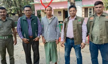 হাটহাজারী রেঞ্জের সর্তা বন বিটের সংরক্ষিত বনের গাছ কাটার সময় আটক ১