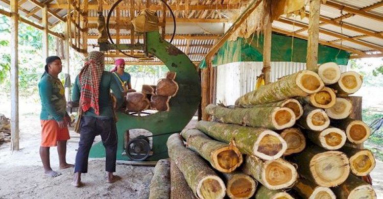 চট্টগ্রামের ফিরিঙ্গিবাজারস্থ ৪টি স-মিলে সংরক্ষিত বন থেকে অবৈধভাবে কেটে আনা কয়েক কোটি টাকার কাঠ মজুদ >
</div>
</div>
<div class=
