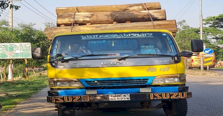 পটিয়া চোরাই কাঠ বোঝাই ট্রাক আটক >
</div>
</div>
<div class=