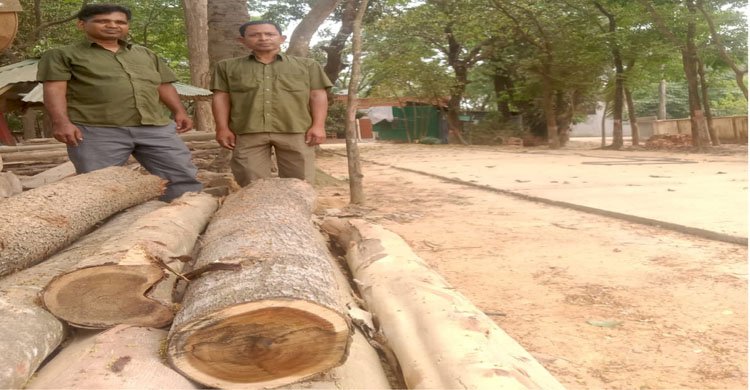 চট্টগ্রাম উত্তর বন বিভাগের রাউজানঢালা বিট কাম চেক স্টেশন কর্তৃক পাচারের উদ্দেশ্যে রাখা জ্বালানী ও গোলকাঠ আটক