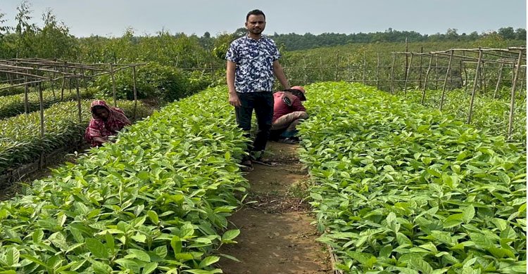 পদূয়া রেন্জ কর্মকর্তার সুফল প্রকল্পের আওতায় হাঙর বন বিটের নার্সারি পরিদর্শন