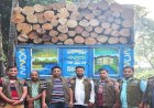হাটহাজারী রেঞ্জ কর্তৃক সেগুন ও আকাশমনি গোলকাঠ বোঝাই ট্রাক আটক