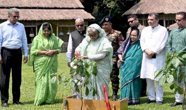 সবাইকে অন্তত একটি গাছ লাগানোর আহ্বান প্রধানমন্ত্রীর