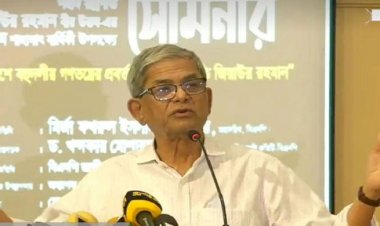 সরকারের দুঃশাসনের কারণেই গণতান্ত্রিক বিশ্বের চাপ: মির্জা ফখরুল