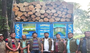 হাটহাজারী রেঞ্জ কর্তৃক সেগুন ও আকাশমনি গোলকাঠ বোঝাই ট্রাক আটক