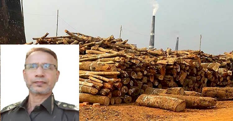 ৫০টি ইটভাটায় রিজার্ভ উজাড় করা কাঠ পোড়ানো হচ্ছে>
</div>
</div>
<div class=