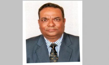 চট্টগ্রাম বন্যপ্রাণী ব্যবস্থাপনা ও প্রকৃতি সংরক্ষণ বিভাগে চলছে হরিলুট ॥ দেখার কেউ নেই