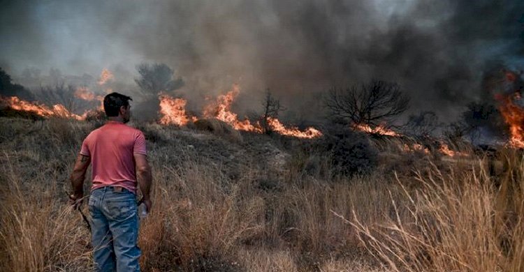 ভয়াবহ দাবানলের কবলে কানাডা, ঘরবাড়ি ছেড়ে নিরাপদ আশ্রয়ে ছুটছে মানুষ>
</div>
</div>
<div class=