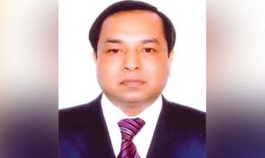 পিকে হালদারের ২২ বছর জেল