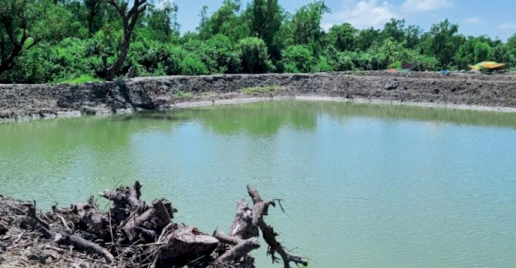 মহিপুর রেঞ্জ কর্মকর্তার যোগসাজশে গঙ্গামতি সংরক্ষিত বনাঞ্চলের বিভিন্ন প্রজাতির হাজার হাজার গাছ কেটে মাটি উত্তোলন করছে একটি চক্র>
</div>
</div>
<div class=
