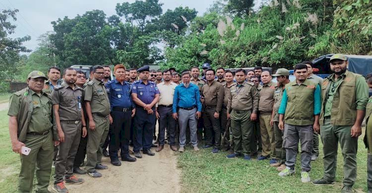চট্টগ্রাম উত্তর বন বিভাগের উচ্ছেদ অভিযানে ২৫ একর বনভূমি জবরদখল মুক্ত>
</div>
</div>
<div class=