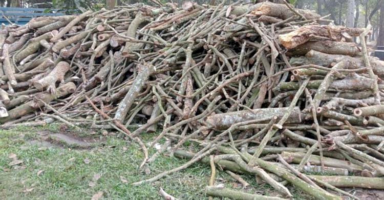 ভালুকায় লক্ষ টাকার বিনিময়ে লাকরির ট্রাক ছেড়ে দেওয়ার অভিযোগ রেঞ্জ কর্মকর্তার বিরুদ্ধে