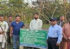 নোয়াখালী উপকূলীয় বন বিভাগের আওতাধীন এসএফএনটিসি এর স্ট্রিপ বাগান পরিদর্শনে গোবিন্দ রায়