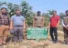 SID-CHT প্রকল্পের এএনআর বাগান’র রক্ষনাবেক্ষণ এর কাজ পরিদর্শনে রাঙ্গামাটি অঞ্চলের বন সংরক্ষক