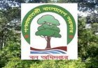 বন বিভাগে মামলাবাজদের দৌরাত্বে মাঠ পর্যায়ে পদোন্নতি বিঘ্নিত