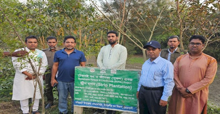 নোয়াখালী উপকূলীয় বন বিভাগের আওতাধীন এসএফএনটিসি এর স্ট্রিপ বাগান পরিদর্শনে গোবিন্দ রায়>
</div>
</div>
<div class=