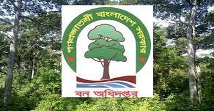 বন বিভাগে মামলাবাজদের দৌরাত্বে মাঠ পর্যায়ে পদোন্নতি বিঘ্নিত