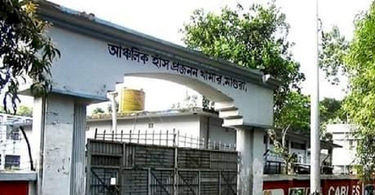 মাগুরায় আঞ্চলিক হাঁস প্রজনন খামারের কর্মকর্তার বিরুদ্ধে অনিয়মের অভিযোগ