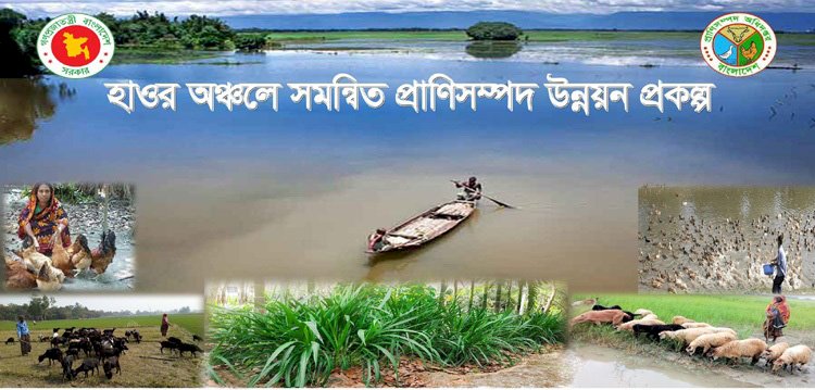 প্রাণিসম্পদ অধিদপ্তরের অধীনে হাওরাঞ্চলে সমন্বিত প্রাণিসম্পদ উন্নয়ন প্রকল্পে হরিলুট