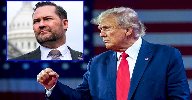 যুক্তরাষ্ট্রের জাতীয় নিরাপত্তা উপদেষ্টা হচ্ছেন মাইকেল ওয়াল্টজ>
</div>
</div>
<div class=