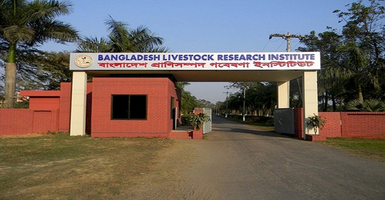 বিএলআরআই-র প্রকল্প পরিচালক সামাদসহ কয়েকজন প্রধান বৈজ্ঞানিক কর্মকর্তা এখন বনে গেছেন বিএনপি