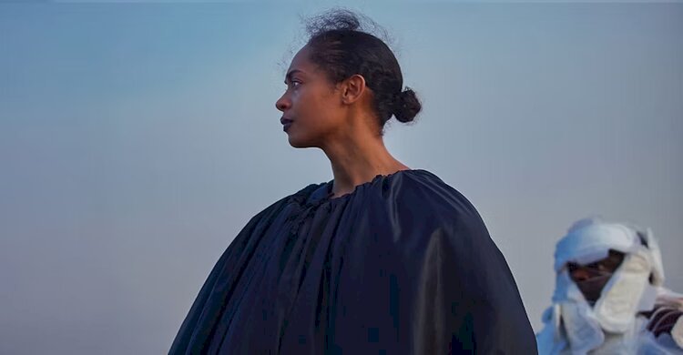 'অন বিকামিং অ্যা গিনি ফাউল' পর্যালোচনা