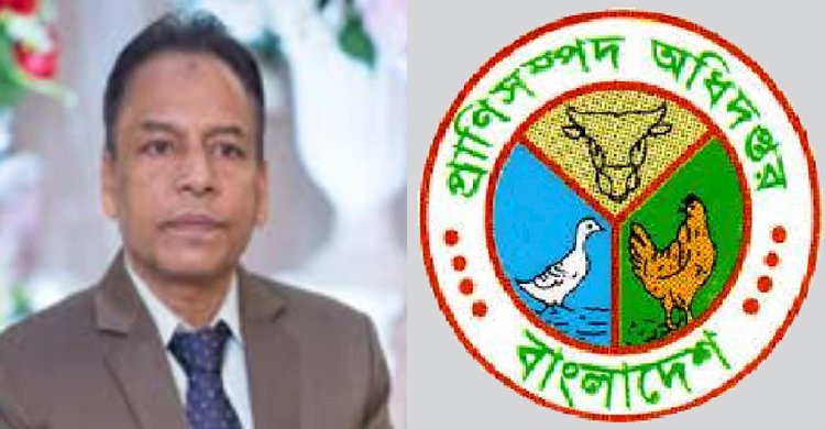 দুই কোম্পানিকে কাজ দিতে কারসাজির টেন্ডার>
</div>
</div>
<div class=