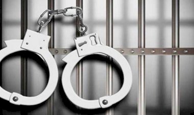 অপারেশন ডেভিল হান্ট: সারা দেশে গ্রেফতার ১ হাজার ৩০৮