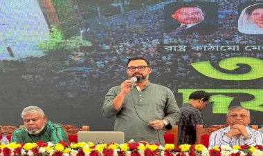 সারাদেশে যৌথ বাহিনীর অভিযানকে স্বাগত জানিয়েছেন বিএনপি নেতা আমিনুল হক